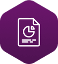 Analysis and Reporting icon
