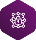 Network Security icon